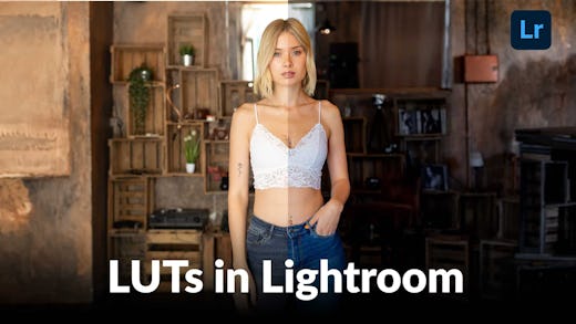 Luts-in-Lightroom.D1ZnFOSj